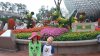 20170505_080329.jpg