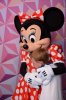 EPCOT_VISAMEET_20170505_8026353045.jpg