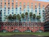 IMG_0647.JPG