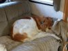 Resized_20171003_072804001_1907.jpg