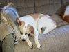 Resized_20171003_072812001_6507.jpg