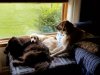 Resized_20170814_130552001_7042.jpg