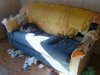 dog-couch-ruined.jpeg