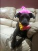 20140722_180745_4_bestshot.jpg