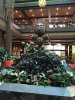 IMG_7868.JPG