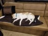 Resized_20171006_231144001_4448.jpg