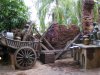 DSCF3571.JPG