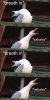 duck.jpg