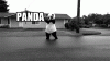 panda-gets-hit-by-truck.gif