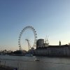 IMG_1049.JPG