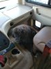 Resized_20171018_135556001_9598.jpg