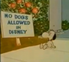 No_Dogs_Allowed.png