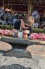 MK_CSTLBACK_20170321_7982772332 (427x640).jpg