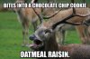 oatmeal-cookie-meme-04.jpg