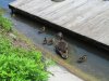 IMG_6721.JPG