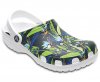 crocs.jpg