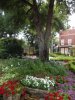 DSCF1649 (768x1024).jpg