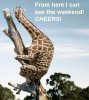 b23eacc3e9e64a90e44dc394bbb69e7f--wednesday-humor-weekend-humor.jpg