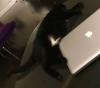 upload_2017-10-25_17-42-34.png