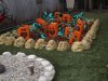 DSCF4854.JPG