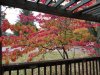 DSC00044.JPG