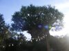 DSCF7427.JPG