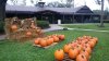 20171029_083554.jpg