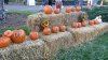 20171030_174922.jpg