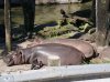 DSC08576.JPG