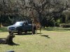 DSC08587.JPG