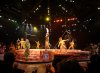 DSC08654.JPG