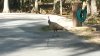 20171101_162317.jpg