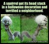 FB_IMG_1477932413921.jpg