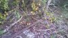 20171104_073550.jpg