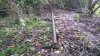 20171104_074240.jpg