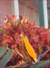 DSC00967.JPG