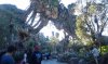 20171029_172655.jpg