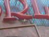 DSC00904.JPG