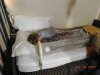DSCN4923.JPG