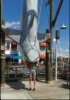 WDW jaws.jpg