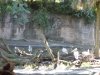 DSC00032.JPG