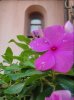 DSC00663.JPG