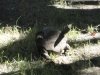 DSC00201.JPG