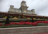 IMG_3689.jpg