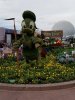 Donald duck 50.jpg