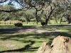 DSC00035.JPG