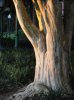 DSC00467.JPG