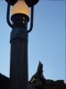 DSC00336.JPG