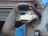 DSC00348.JPG