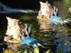 DSC00486.JPG